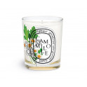 Scented Candle Camomille